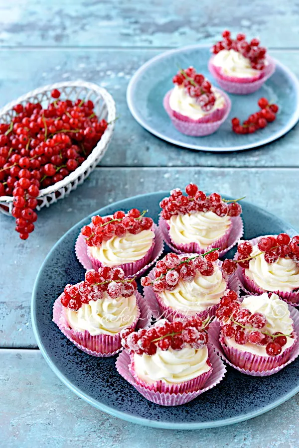 Mini-Käsekuchen mit Johannisbeeren