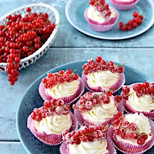 Mini-Käsekuchen mit Johannisbeeren