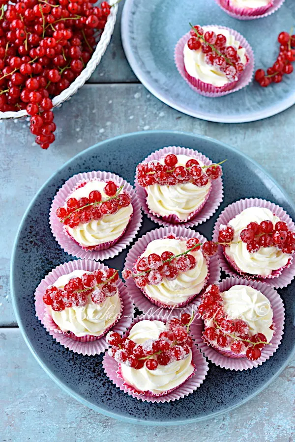 Mini-Käsekuchen mit Johannisbeeren