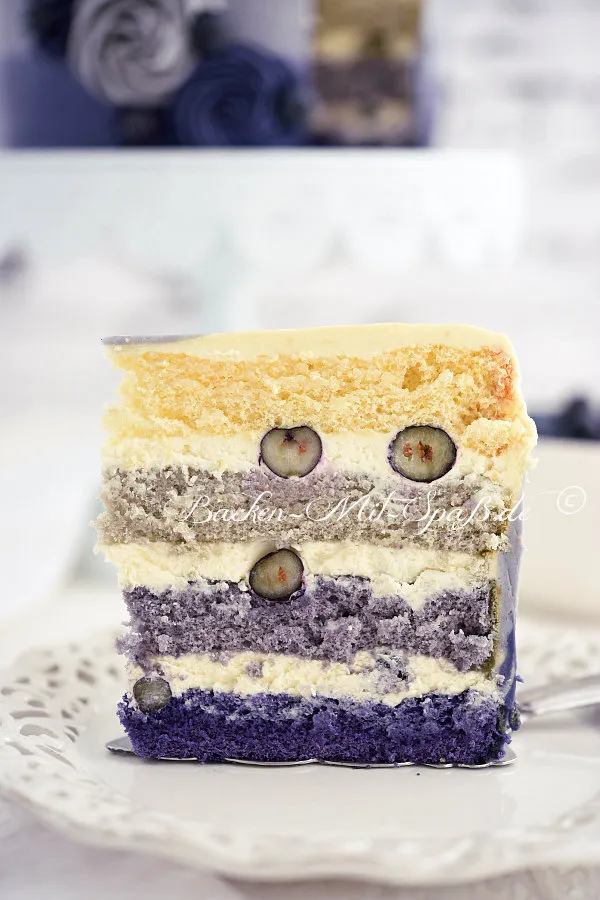 Ombre Torte mit Blaubeeren