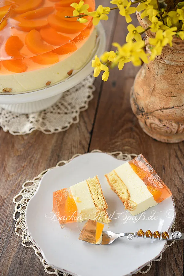 Joghurtkuchen mit Früchten aus der Dose